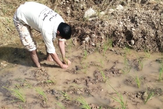 حسین کیانی نیا در اردوهای جهادی